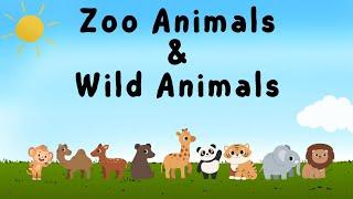 zoo animals & wild animals जंगली जानवरो के नाम  jangali janwar  चिड़ियाघर की सैर  jungali janvar