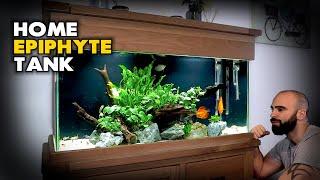 Aquascape Tutorial Epiphyte Home Community Aquarium How To Step By Step Planted Aquarium Guide