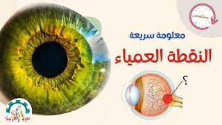 علوم بالعربية - معلومة سريعة- مفهوم النقطة العمياء - blind spoot