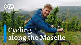 Cycling along the Moselle River  From Traben-Trarbach to Cochem  A Day at the Moselle River