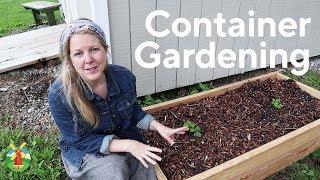 Container Gardening for Beginners