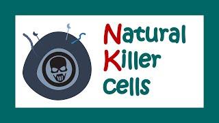 Natural Killer cells  Functions of Natural killer cells  Immune function of NK cells