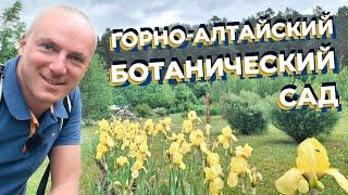 Горно-Алтайский ботанический сад