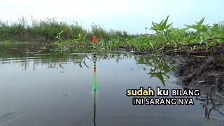 GACOR pol-polan nemu spot perawan belum tersentuh pemancing