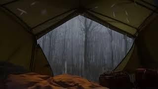 Rain on Camping Day at Deserted Forest that Warm your Soul - ASMR Natural Sounds Relaxing Music