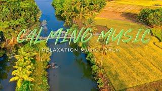 Calming music  Relaxation Music