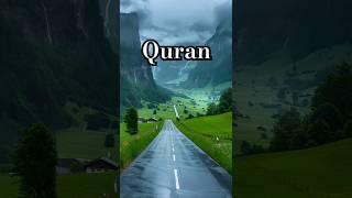 Al Quran translate surah Nissa #shorts #shortsfeeds #islamiqoutes #youtubeshorts #quranrecitation