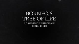 Borneos Tree of Life Exhibition