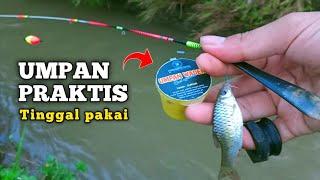 Umpan Wader paling ampuh - untuk mancing ikan wader di kali