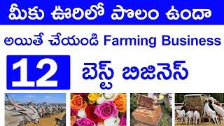 పల్లెటూర్లో చేసే టాప్ 12 బిజినెస్  agriculture business ideas  top 10 farming business in telugu