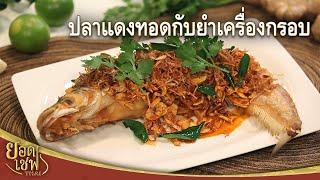 ปลาแดงทอดกับยำเครื่องกรอบ Whisker Sheatfish with Thai Crispy salad  ยอดเชฟไทย 14-08-22