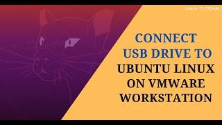 How to Connect USB Flash Drive to Ubuntu Linux on VMware Workstation