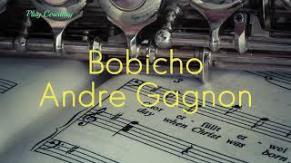 아름다운 피아노곡  Bobicho - 앙드레 가뇽