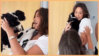 New Puppy Surprise Compilation 2024  Wholesome Surprise Moments