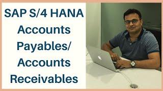 SAP S4 HANA Accounts Payables Accounts Receivables  SAP APAR