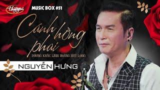 Nguyễn Hưng - Cánh Hồng Phai  Music Box #51