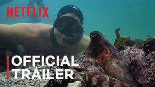 My Octopus Teacher  Official Trailer  Netflix