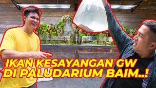 DELIVERING MY FAVORITE FISH FOR PALUDARIUM BAIM TURNS OUT SH*T HAPPEN