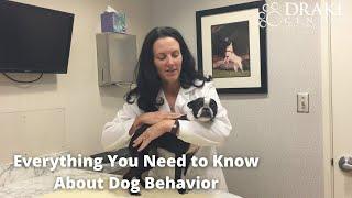 Everything You Need to Know About Dog Behavior