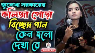 Keno Holo Dekha Re  কেন হলো দেখা রে তোমারে দেখলাম  Julekha Sorkar  Bangla New Baul Song 2024