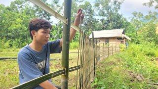 Cut bamboo to build a fence around the garden. My daily life  Bình - Building new life