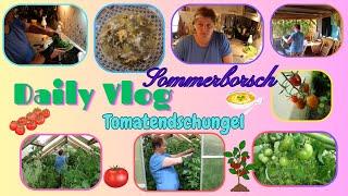 Daily Vlog  Ab in den Tomatendschungel  Sommerborsch  Haushalt und Garten  Mamaalltag