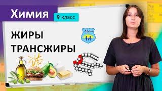 Жиры. Трансжиры. Химия 9 класс