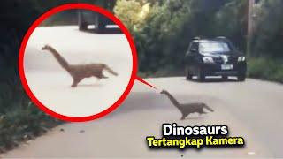 Inikah Bukti Hewan Purba Masih Hidup? Penampakan² Dinosaurus yang Terekam Kamera Paling Jelas