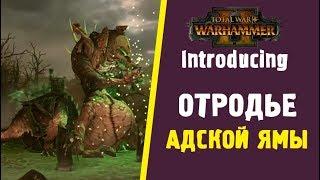  Total War WARHAMMER 2  Отродье Адской Ямы Hell Pit Abomination - на русском