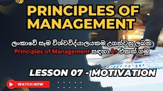 Principles of Management. Lesson 07 Motivation