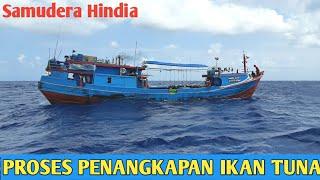 Proses Penangkapan Longline Tuna Di Samudera Hindia