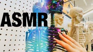 ASMR PUBLIC Halloween Decor Tapping And Scratching  Pt. 13