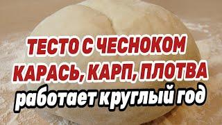 ТЕСТО ДЛЯ РЫБАЛКИ С ЧЕСНОКОМ НА КАРАСЯ. РАБОТАЕТ КРУГЛЫЙ ГОД  Проверено 