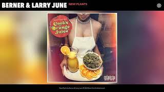 Berner & Larry June - New Plants Audio 