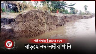 গাইবান্ধায় উজানের ঢলে বাড়ছে নদ-নদীর পানি  heavy rain  Jago News