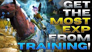 BDO Horse Training Guide How to Level Up Your Horses Fast and Easy