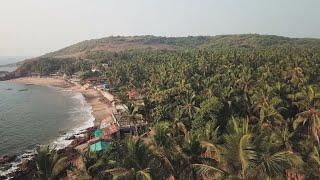 Indian state of Goa continues to attract dreamers from around the world • FRANCE 24 English