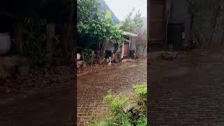 Rainy day in front of the shack house #justwalk #rainsounds #rainyday #walkingvideo #shorts #fyp