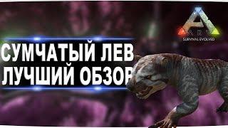 Сумчатый лев thylacoleo  в АРК. Лучший обзор приручение разведение и способности  в ark