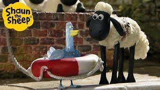 Shaun the Sheep  The Ice Bath  Full Episodes Compilation 1 hour