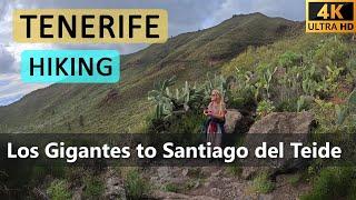 Hiking Tenerife - Los Gigantes to Santiago Del Teide - PR-TF 65