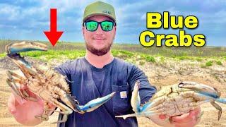 BLUE CRAB Catch & Cook Galveston Texas