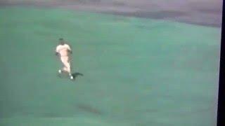 Roberto Clemente Amazing Spin & Throw Gets Merv Rettenmund