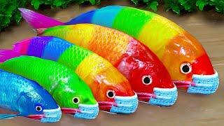 Stop Motion Cooking ASMR Colorful Eggs Pink Catfish Rainbow Fish  Cartoon Funny Animation