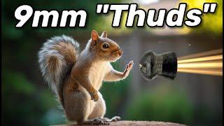 Is Shooting Squirrels with a 9mm Humane? Lets Discuss