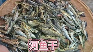 The fish that old Luo got back  Xiao Ceng started to make dried fish again. The wild small river fi