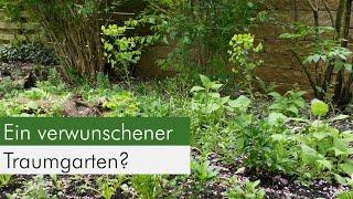 Update Ein Spaziergang durch unseren verwunschenen Naturgarten.