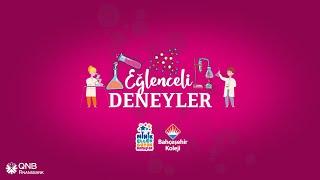 Eğlenceli Deneyler - Bitkiler Su İçer Mi?