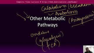 Other Metabolic Pathways CSIR Life Sciences Complete lectures @ doorsteptutor.com