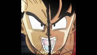 Vegeta and Goku edit 